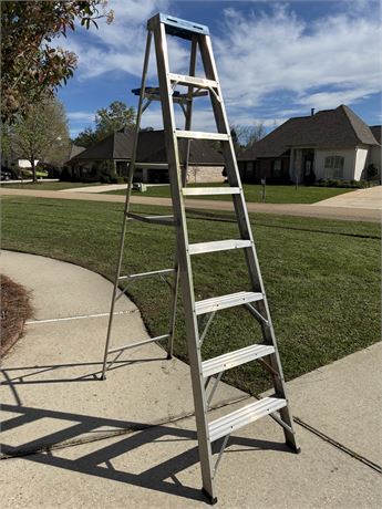 WERNER ~ 8 Ft Aluminium Ladder