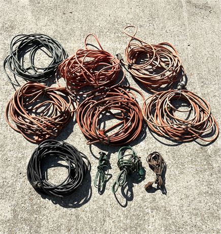 Lot of 10 Extension Cords