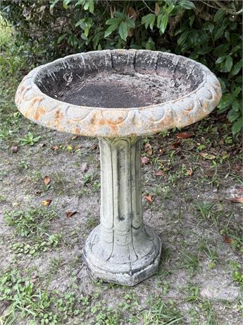 Vintage Cement Bird Bath