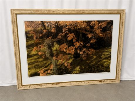 HARRIET BLUM ~ “FALL” Wall Art Framed ~ Signed