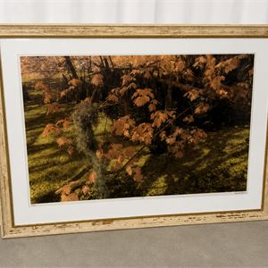 LotImage
