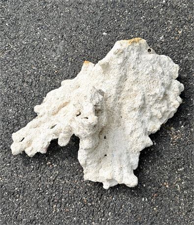 Large Natural Coral or Reef Rock Piece