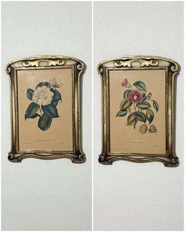 Pair (2) Vtg Framed Floral Prints