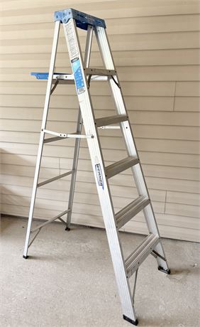 WERNER ~ 6’ Aluminium Ladder