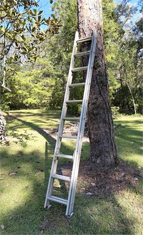 18 Foot Werner Extension Ladder