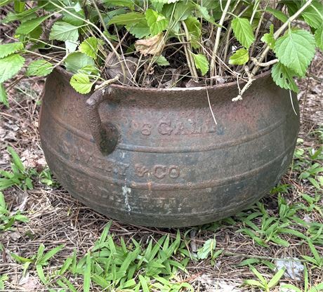 Antique Cast Iron 6 Gallon "Savery & Co. Philadelphia" Kettle Pot