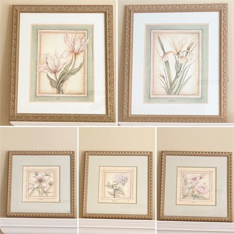 BOMBAY CO. ~ Framed Botanical Artwork With Linen Matting ~ Set Of (5)