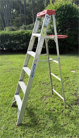 Werner 6 Ft. Aluminum Ladder