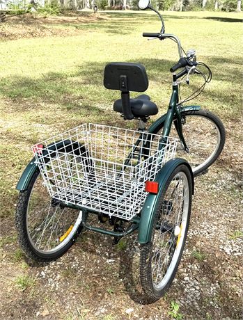 Adult Tricycle with Basket