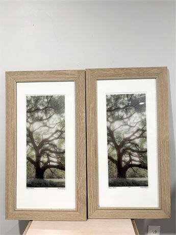 HARRIET BLUM ~ Magical Moment Framed Art ~ Set of 2