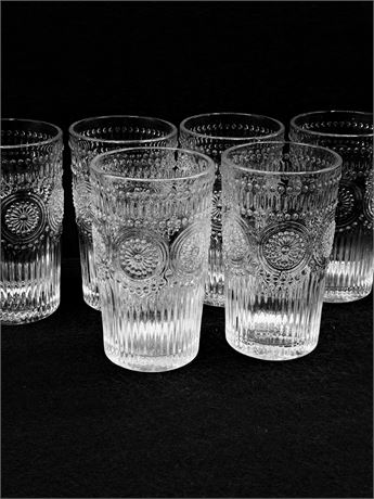 PIONEER WOMAN ~ Adeline ~ 6 Glass Tumblers