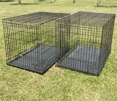 Pair of (2) Large Folding Metal Dog Crates