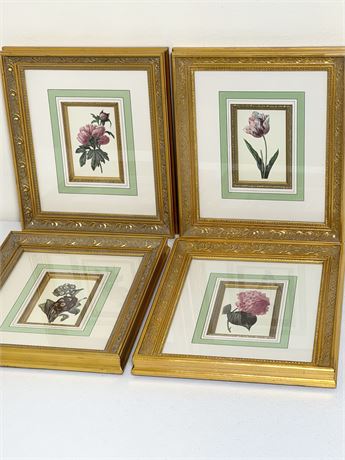 Set Of (4) Gold Framed Botanical Framed Prints