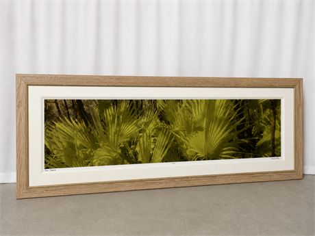HARRIET BLUM “FAN DANCE” Wall Art Framed ~ Signed