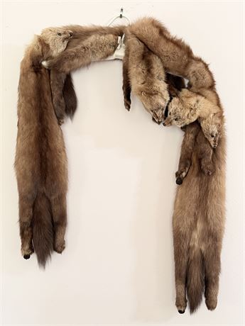 Vtg. Womens Mink Fur Stole