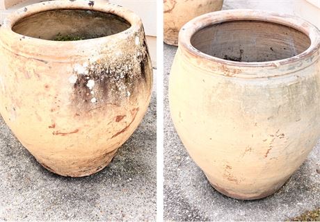 Pair of Terracotta Olive Jars Full of Dirt