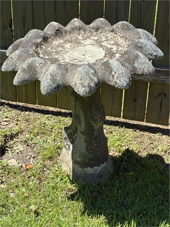 Concrete “Flower” Birdbath
