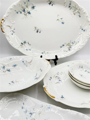 LIMOGES ~ 10Pc Set of Assorted Serving Ware