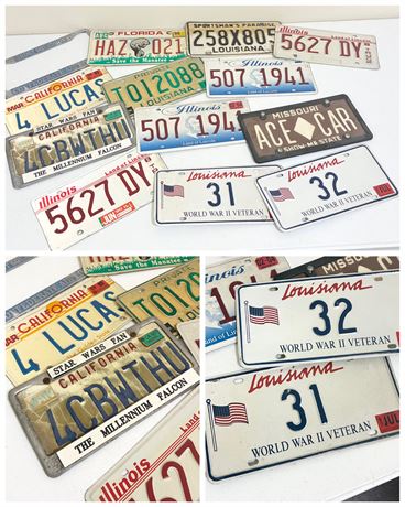 Collection of 12 Assorted License Plates