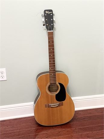 VARGAS ~ Acoustic Guitar