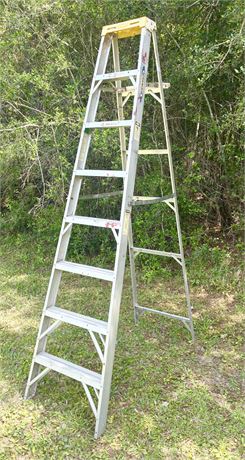 WERNER ~ 8 Ft Aluminium Ladder